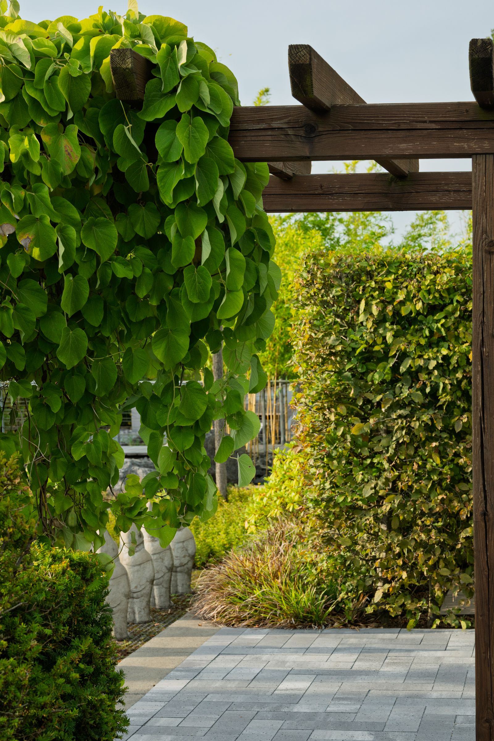 Gepflegter Garten mit Pergola und Formhecke